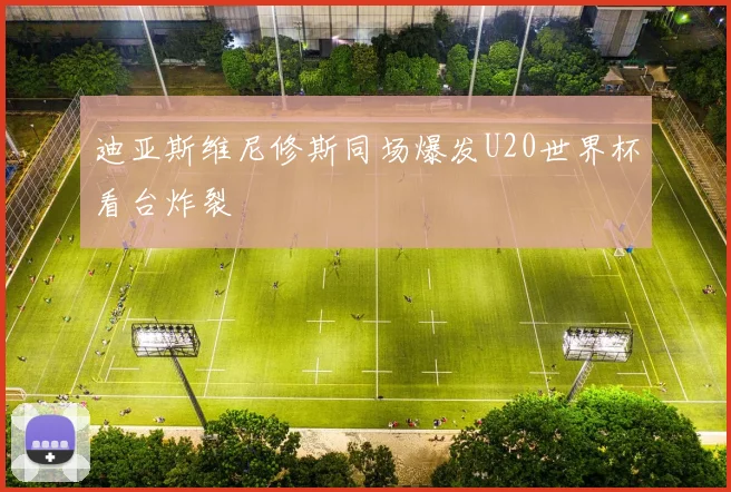 迪亚斯维尼修斯同场爆发U20世界杯看台炸裂