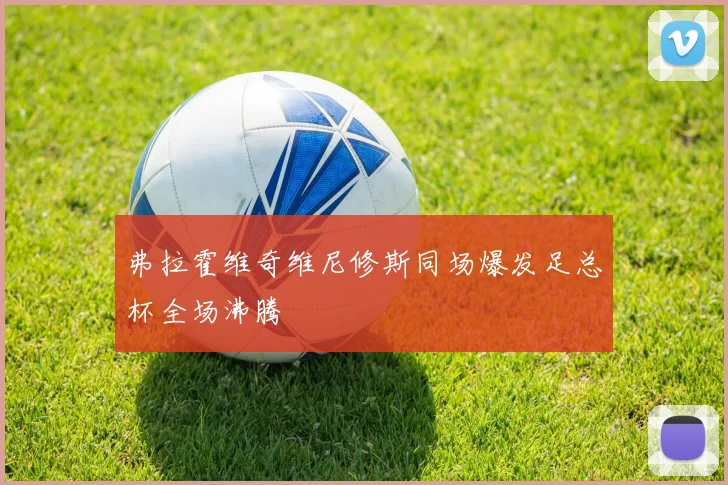 弗拉霍维奇维尼修斯同场爆发足总杯全场沸腾