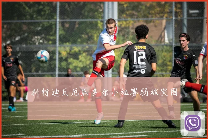 科特迪瓦厄瓜多尔小组赛弱旅突围