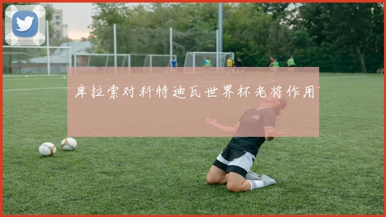 库拉索对科特迪瓦世界杯老将作用