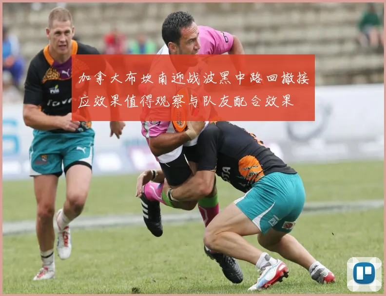 加拿大布坎南迎战波黑中路回撤接应效果值得观察与队友配合效果