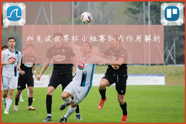 加克波世界杯小组赛队内作用解析