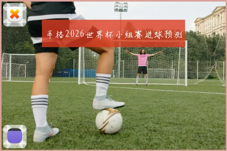 辛格2026世界杯小组赛进球预测