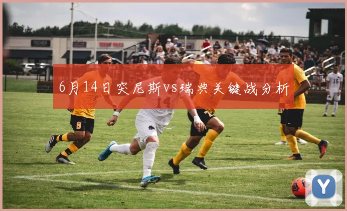 6月14日突尼斯vs瑞典关键战分析